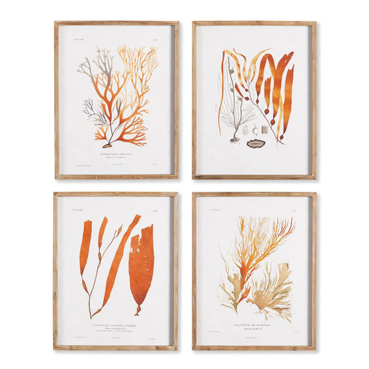 CORAL REEF STUDY, SET OF 4