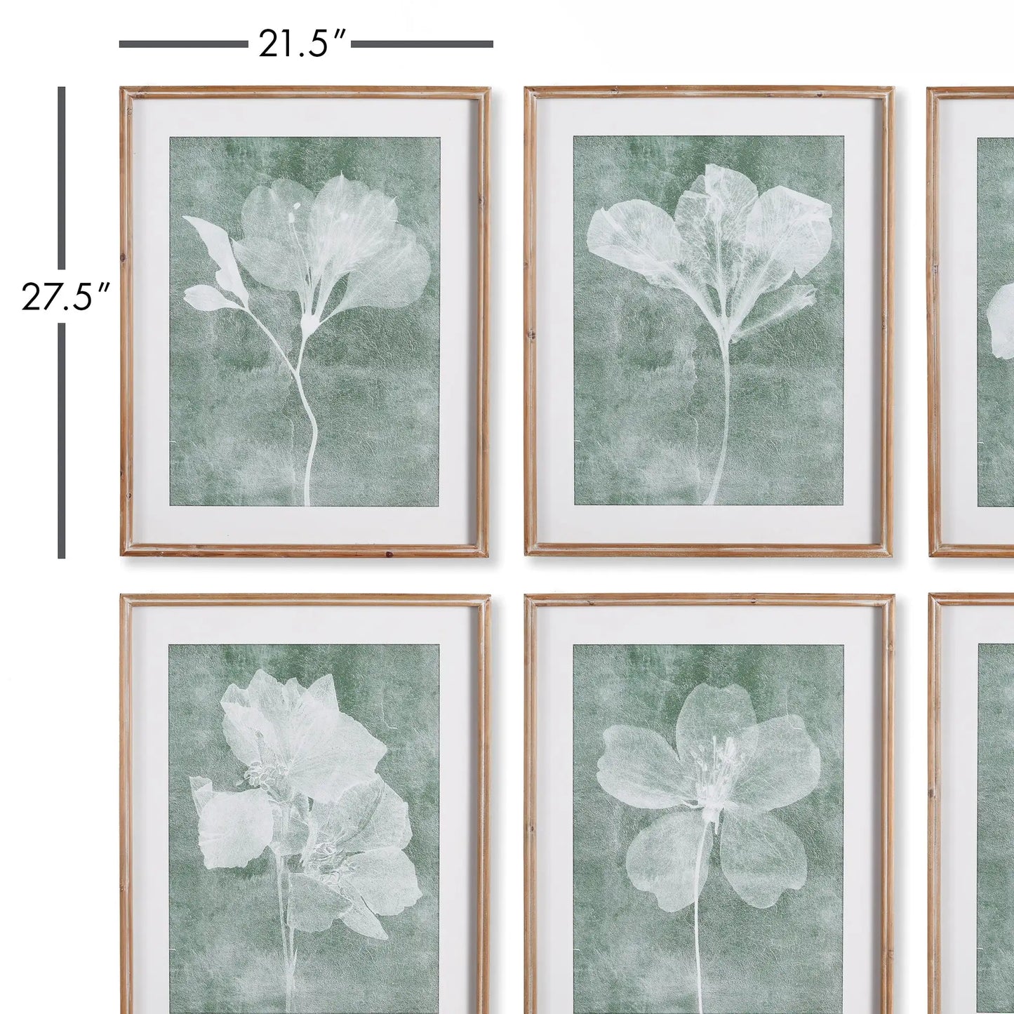 TRANSLUCENT FLORAL PRINTS, SET OF 6 - view 2