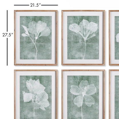 TRANSLUCENT FLORAL PRINTS, SET OF 6 - view 2