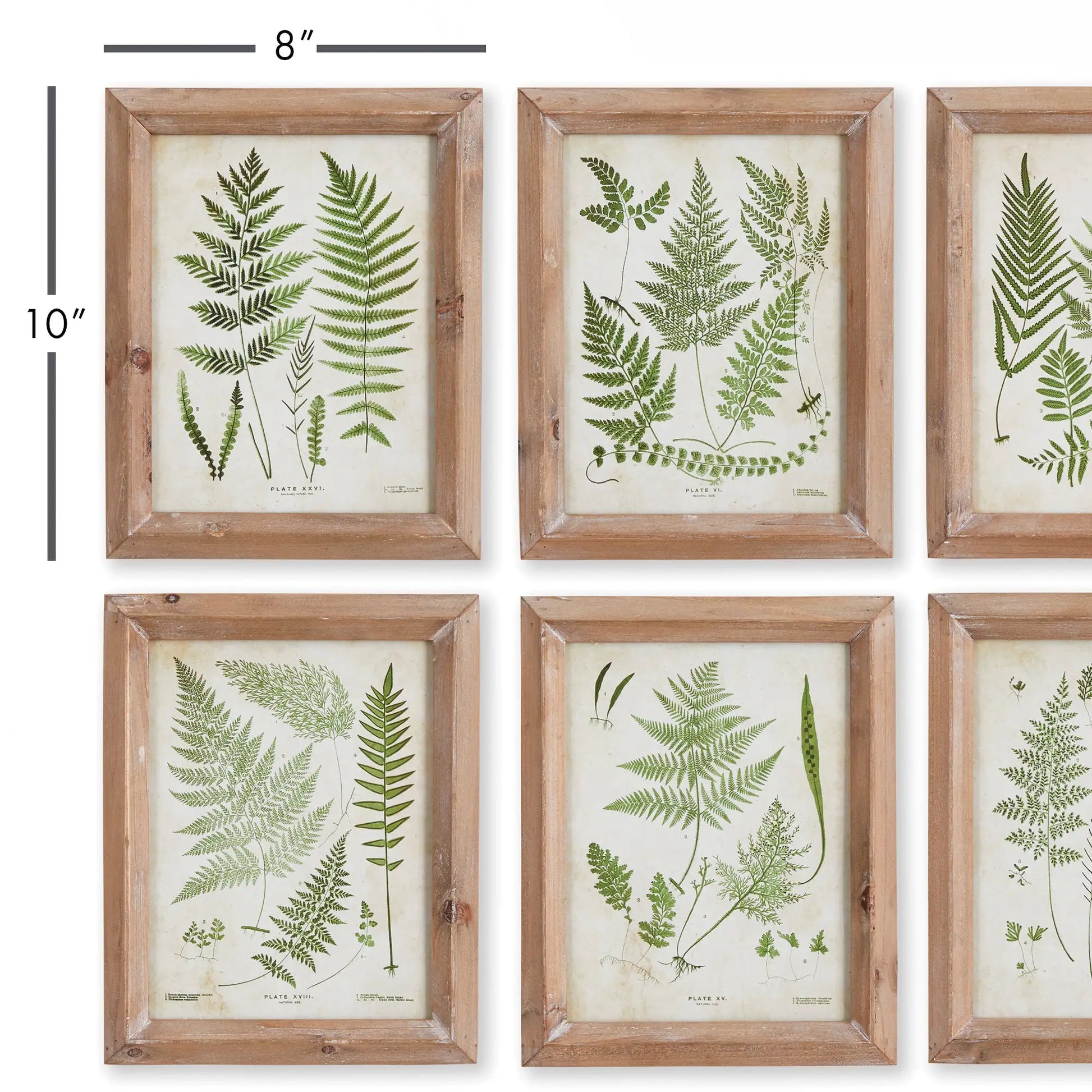 FOREST GREENERY PRINTS, SET OF 6 - view 2