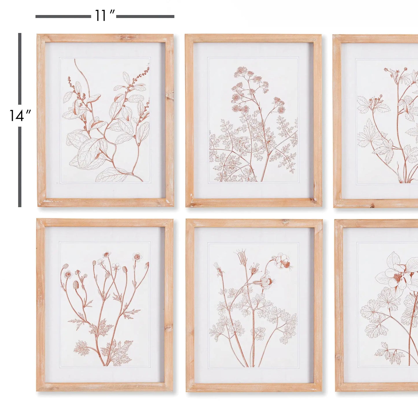 BOTANICALS IN BLUSH PRINTS, SET OF 6 - view 2