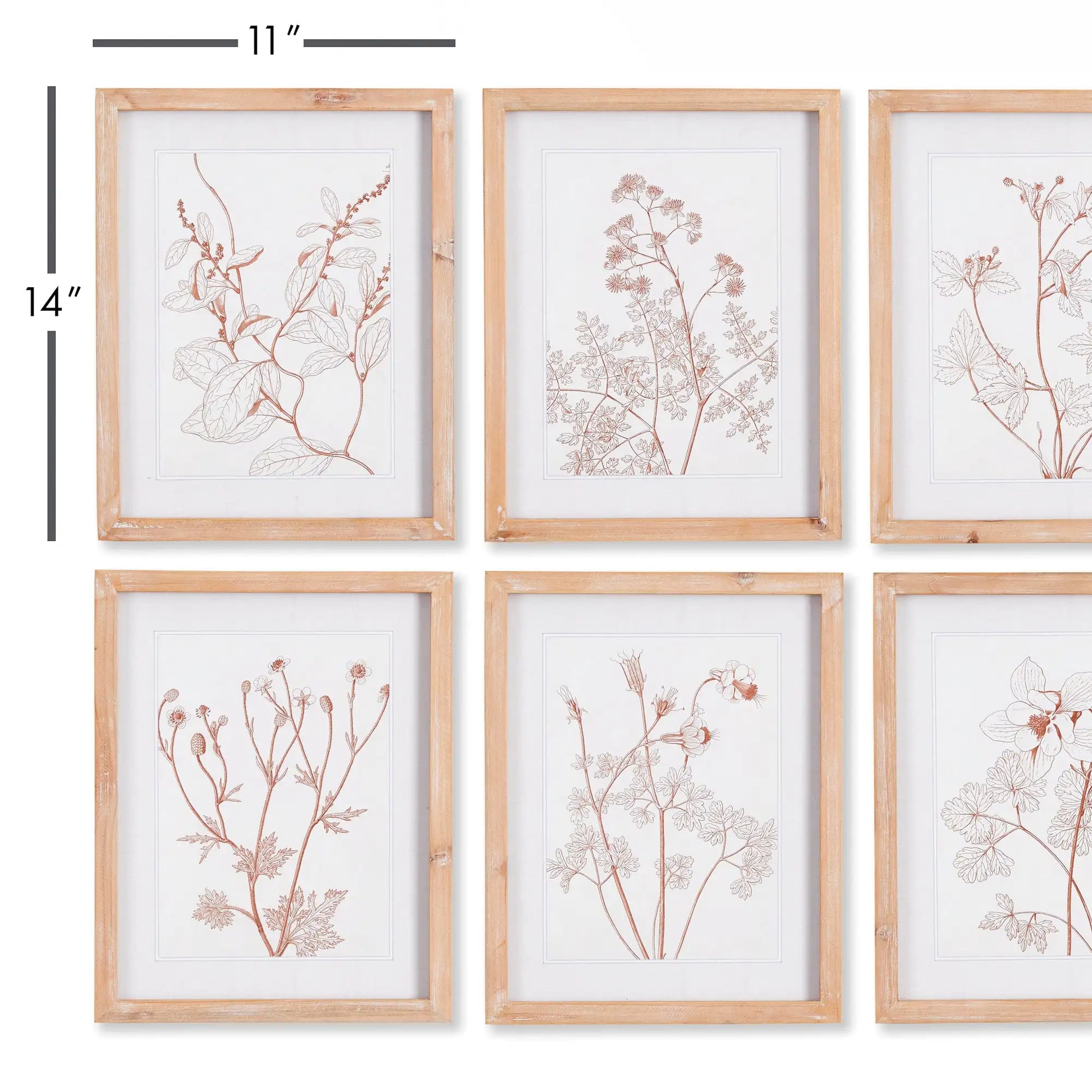 BOTANICALS IN BLUSH PRINTS, SET OF 6 - view 2