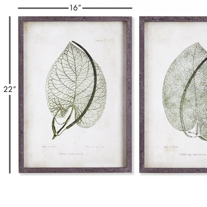 CORDATE LEAF STUDY, SET OF 2 - view 2