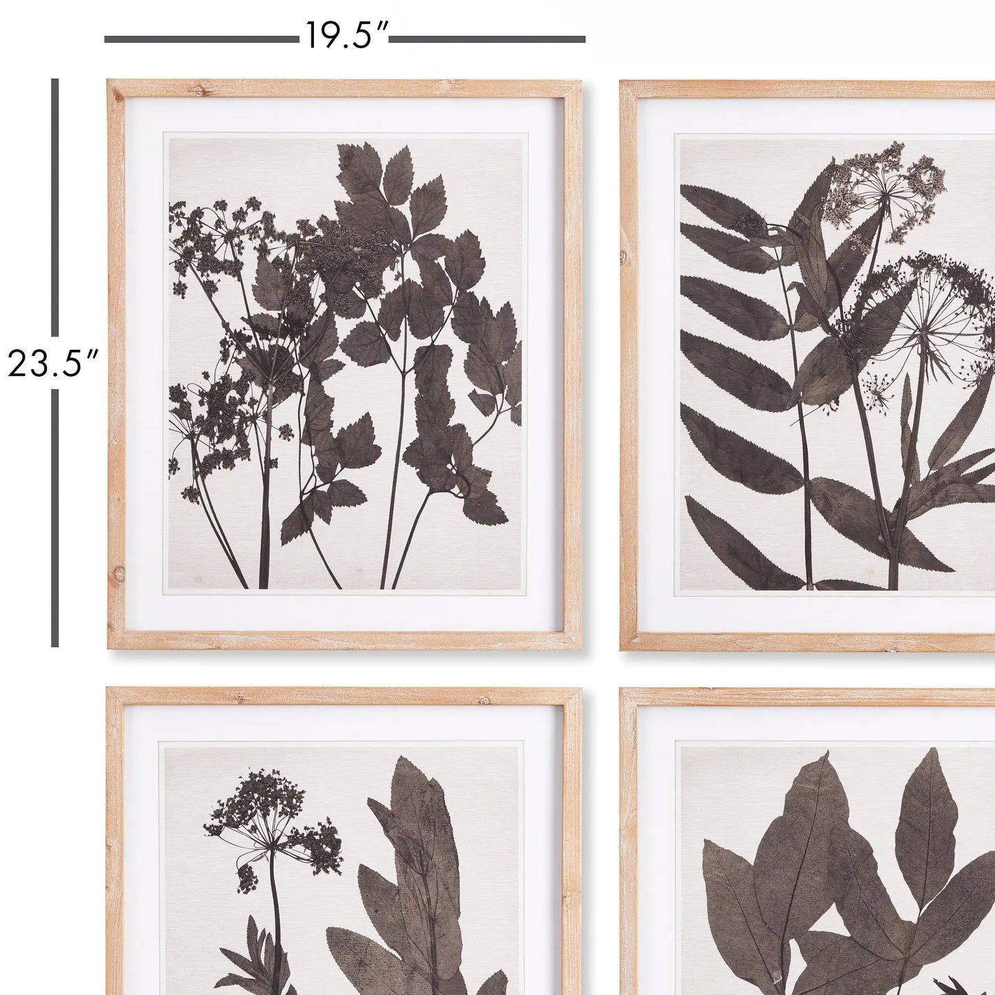 PRESSED FOLIAGE PRINTS, SET OF 4 - view 2