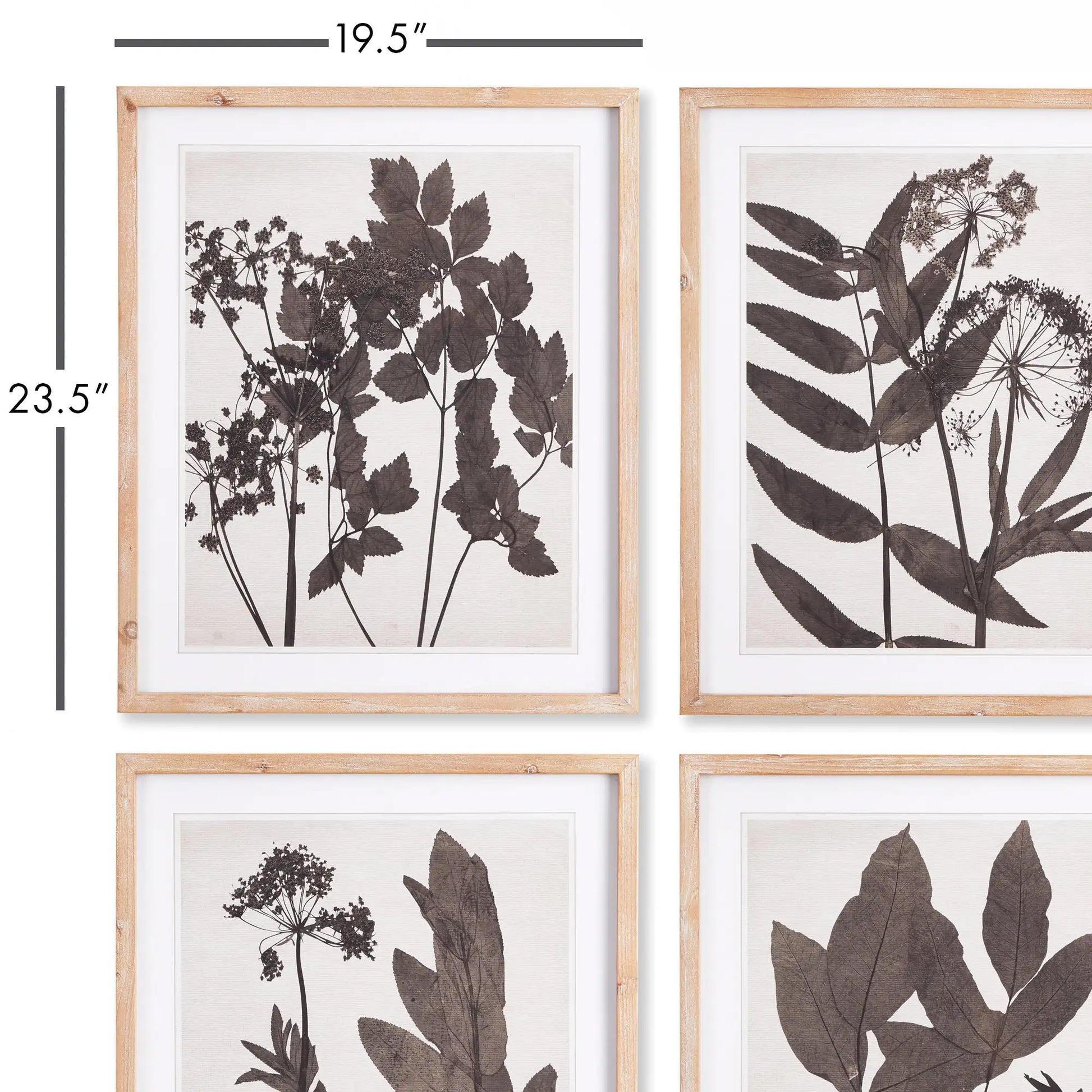 PRESSED FOLIAGE PRINTS, SET OF 4 - view 2
