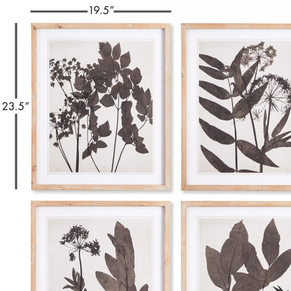 PRESSED FOLIAGE PRINTS, SET OF 4 - view 2