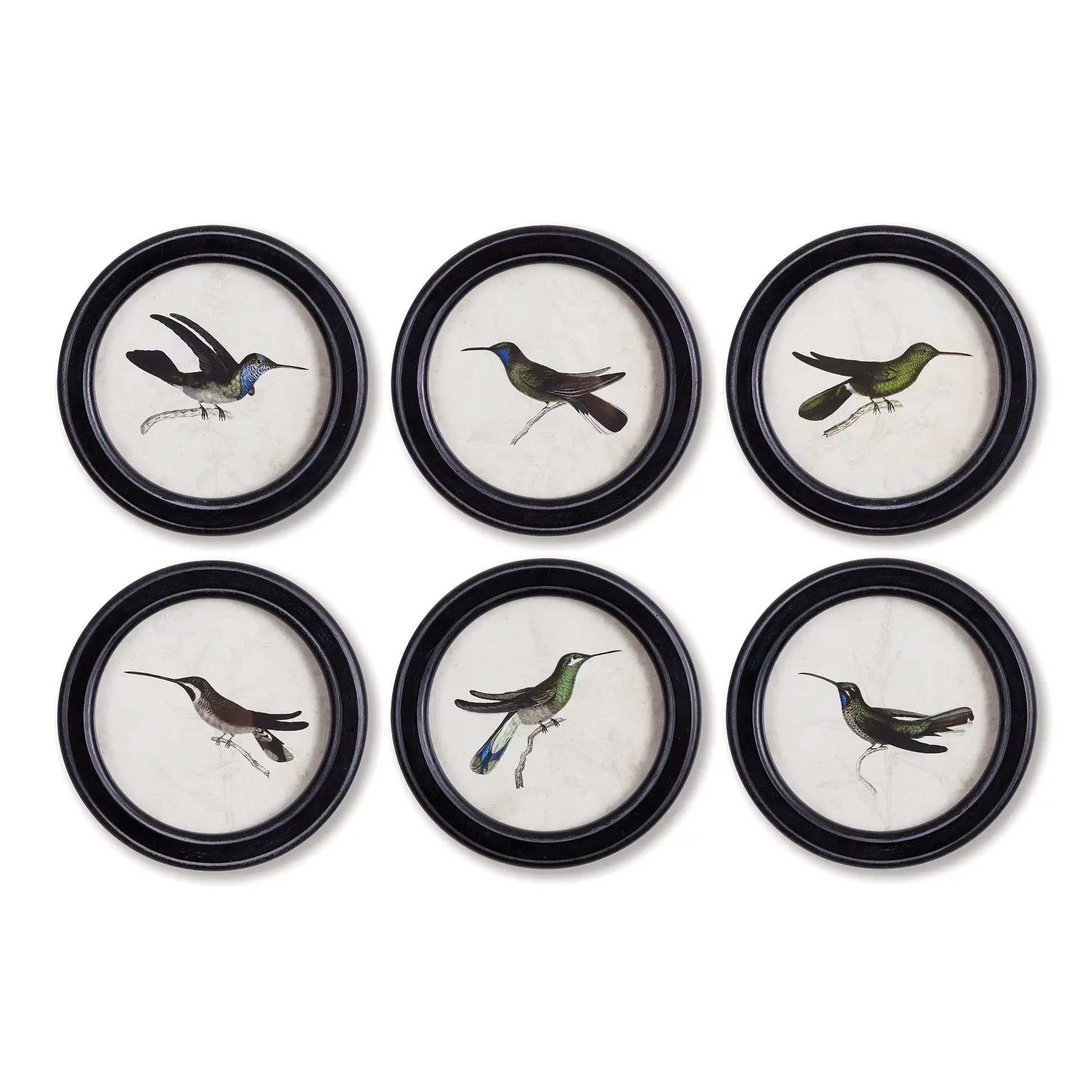HUMMINGBIRD ROUND PETITE PRINTS, SET OF 6