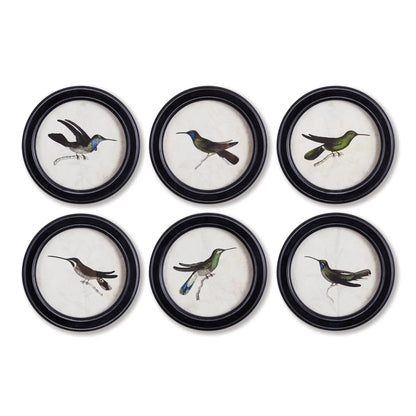 HUMMINGBIRD ROUND PETITE PRINTS, SET OF 6
