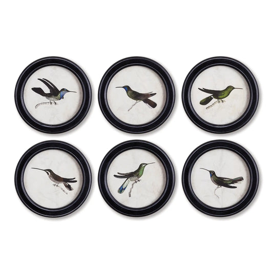 HUMMINGBIRD ROUND PETITE PRINTS, SET OF 6