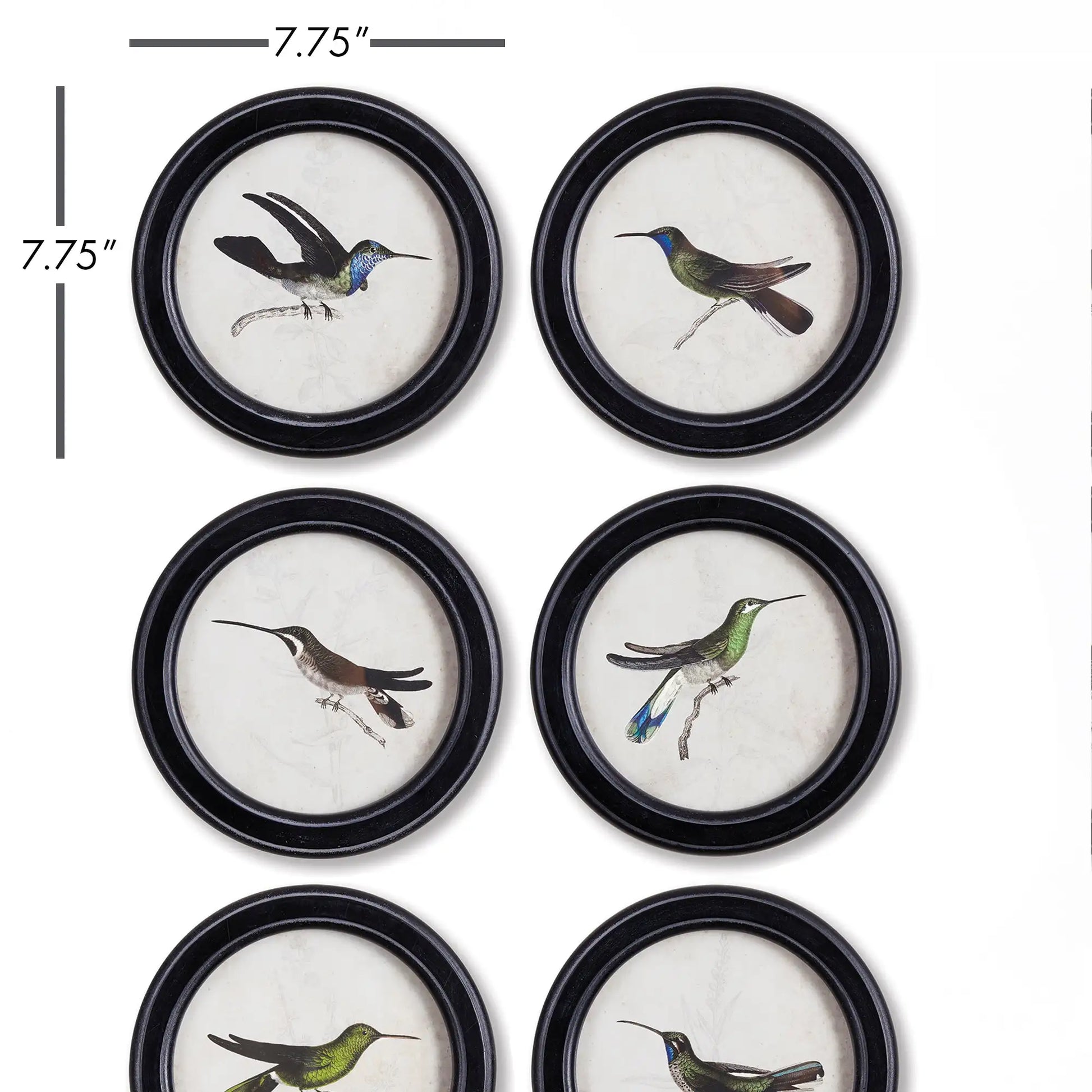 HUMMINGBIRD ROUND PETITE PRINTS, SET OF 6 - view 2