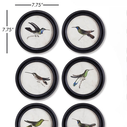 HUMMINGBIRD ROUND PETITE PRINTS, SET OF 6 - view 2