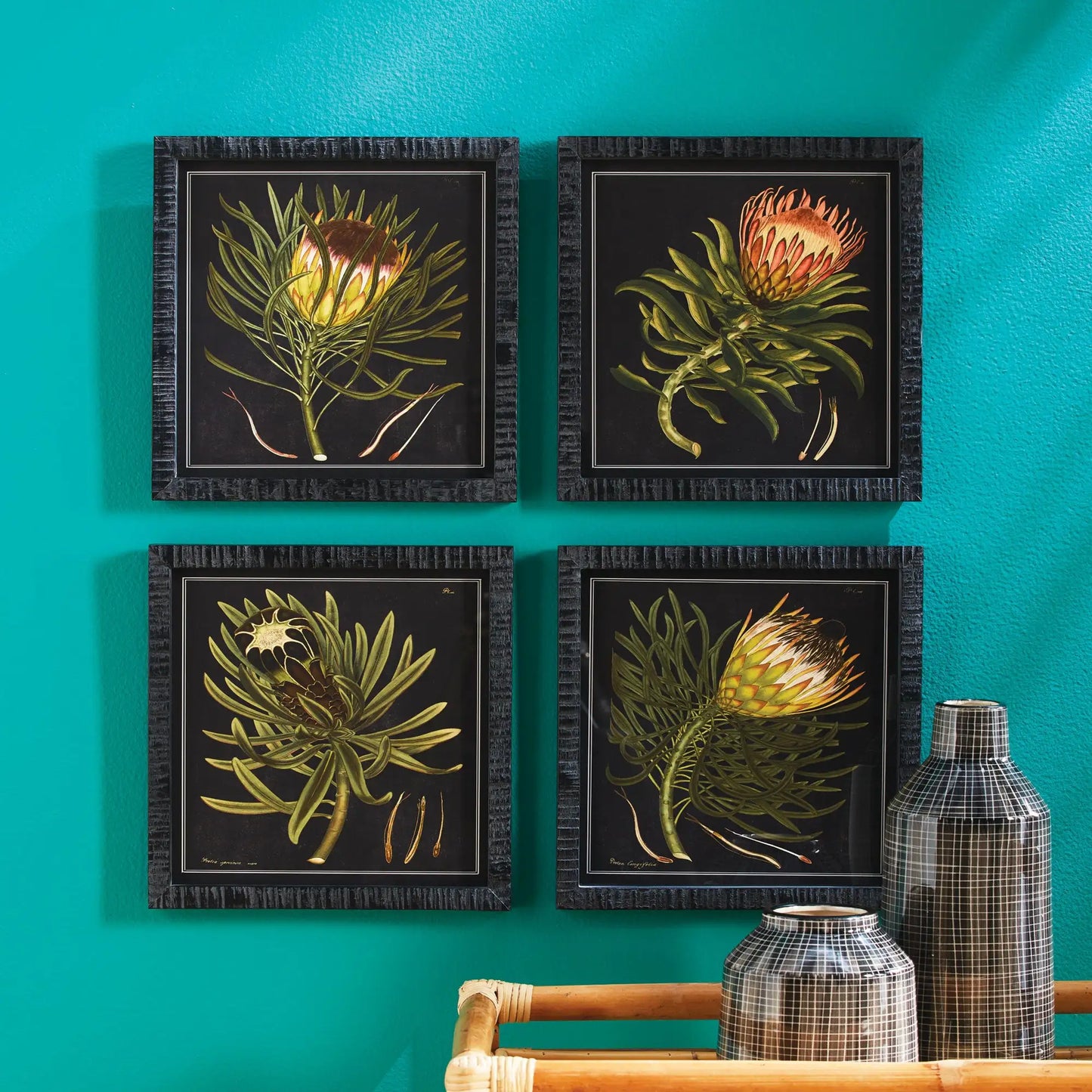 PROTEA PETITE PRINTS, SET OF 4 - view 3