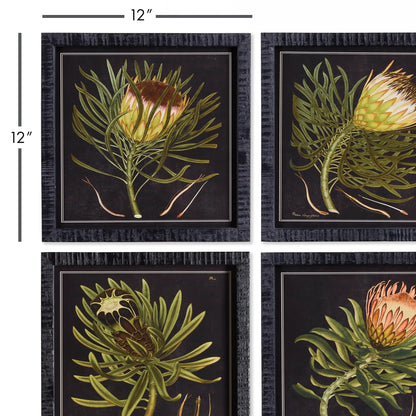 PROTEA PETITE PRINTS, SET OF 4 - view 2
