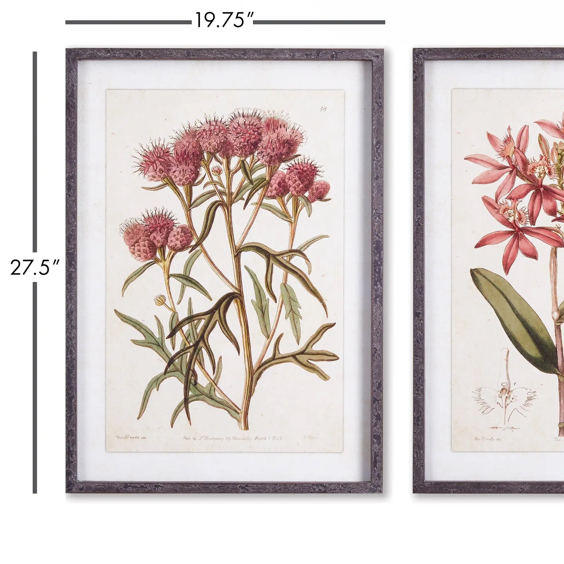 PRETTY IN PINK VINTAGE PRINTS, SET OF 2 - view 2