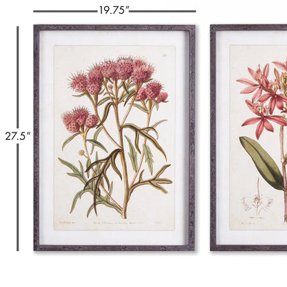 PRETTY IN PINK VINTAGE PRINTS, SET OF 2 - view 2
