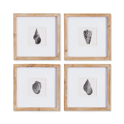 SEASHELL PETITE PRINTS, SET OF 4