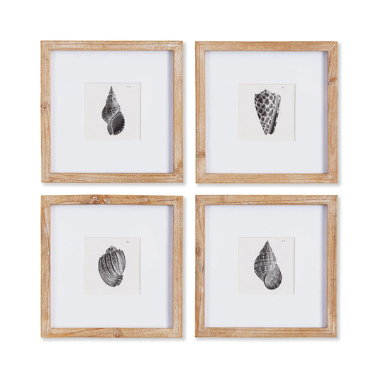 SEASHELL PETITE PRINTS, SET OF 4