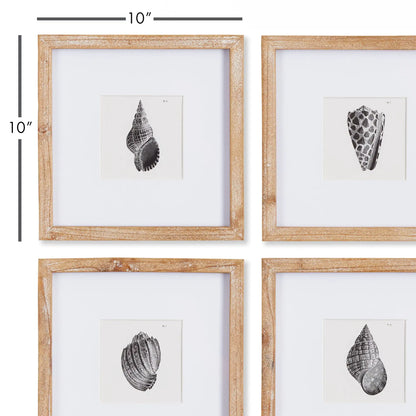 SEASHELL PETITE PRINTS, SET OF 4 - view 2