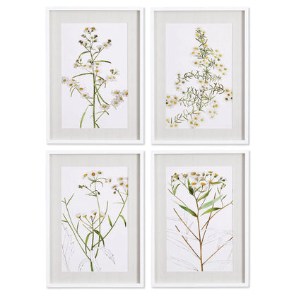 DAISY PRINTS, SET OF 4