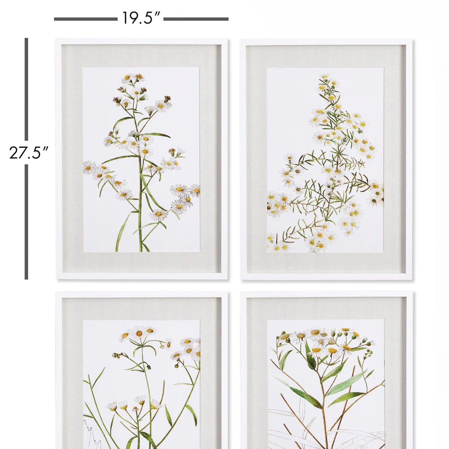 DAISY PRINTS, SET OF 4 - view 2