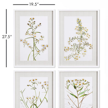 DAISY PRINTS, SET OF 4 - view 2