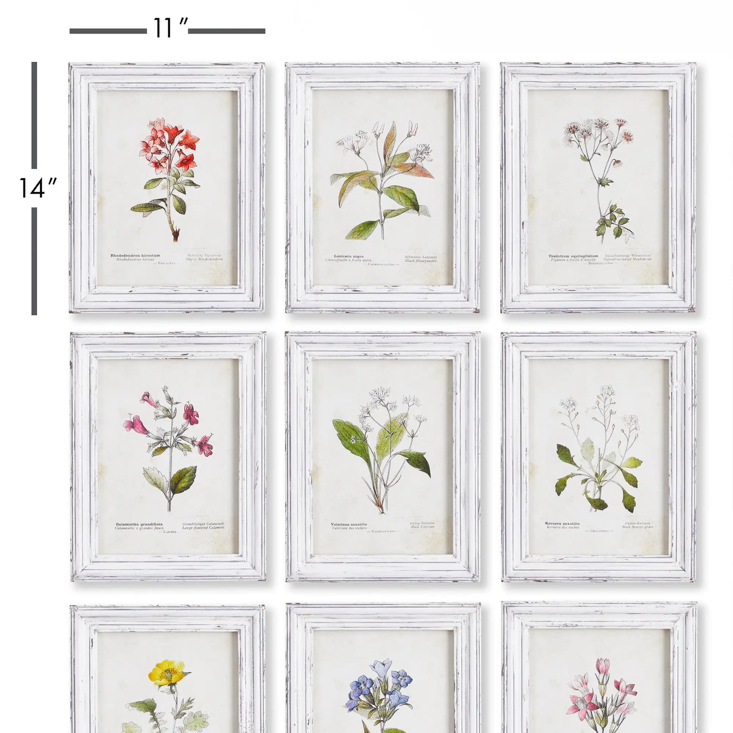 GARDEN MEADOW STUDY, SET OF 9 - view 2