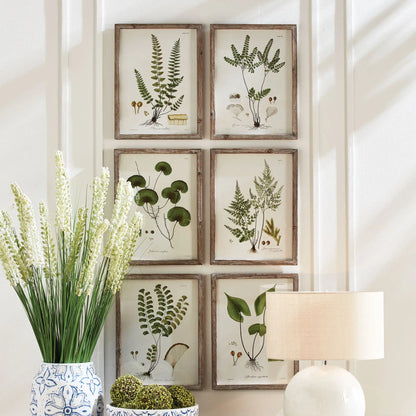 SHADE GARDEN STUDY, SET OF 6 - view 3