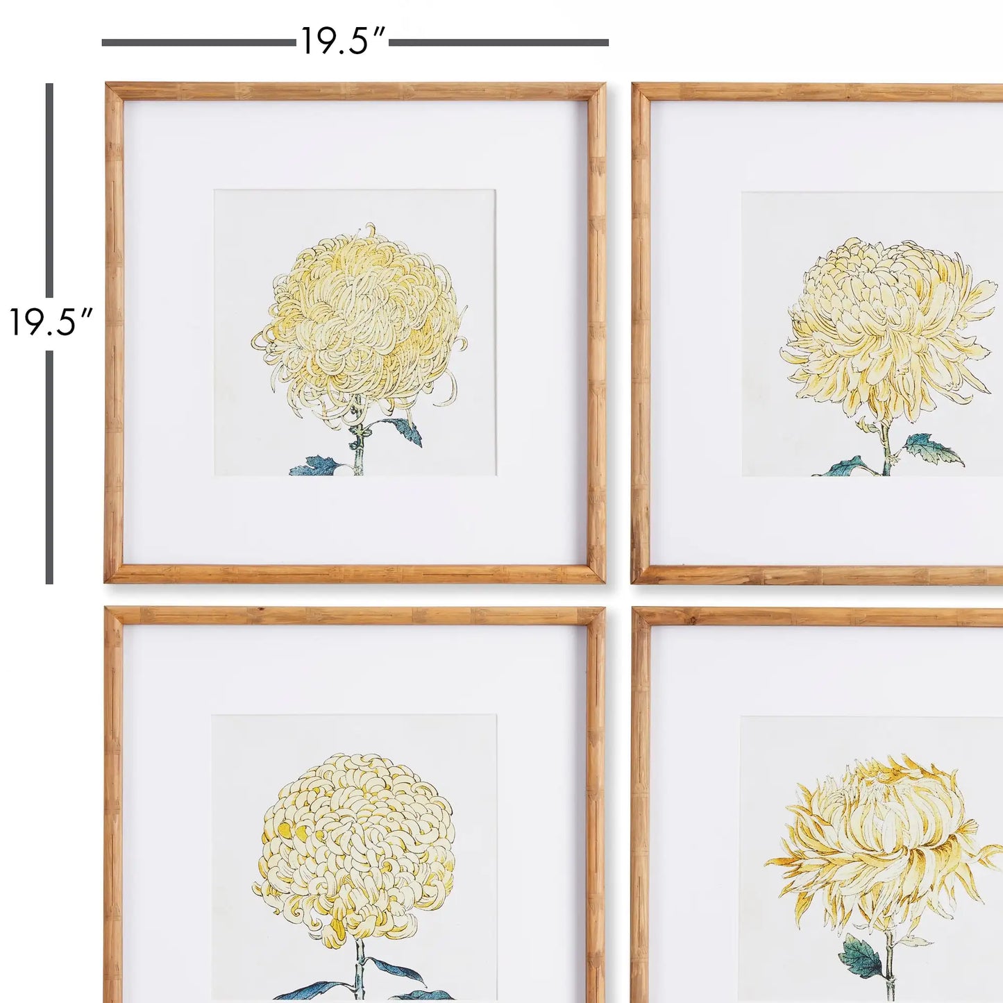 CHRYSANTHEMUM PRINTS, SET OF 4 - view 2