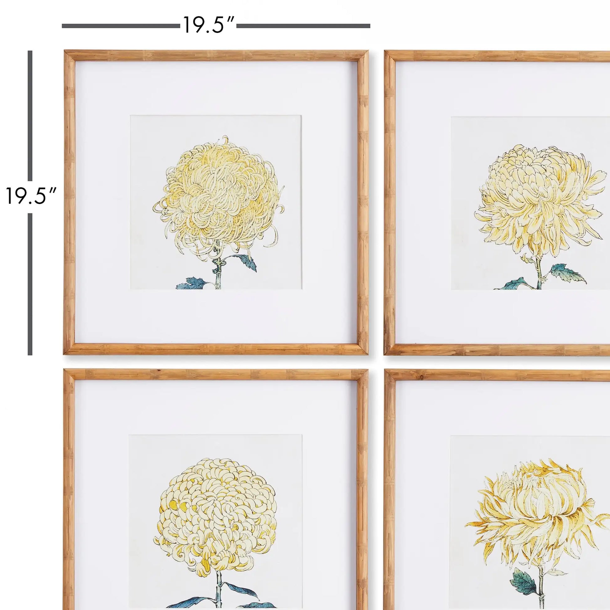 CHRYSANTHEMUM PRINTS, SET OF 4 - view 2