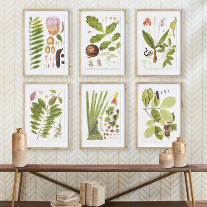 LEAF BOTANICAL STUDY, SET OF 6 - view 3