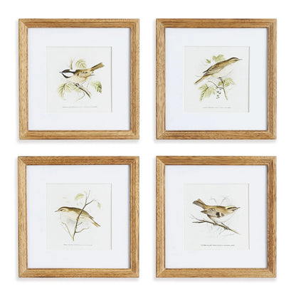 PERCHING BIRD STUDY PETITE, SET OF 4