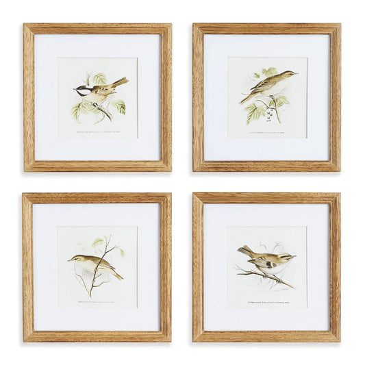 PERCHING BIRD STUDY PETITE, SET OF 4