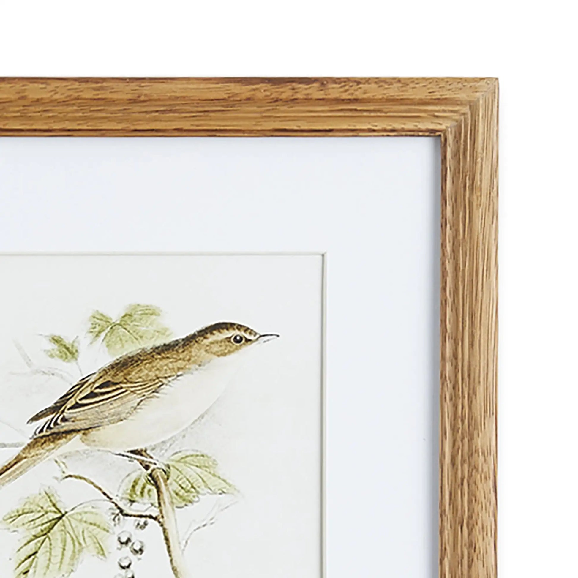 PERCHING BIRD STUDY PETITE, SET OF 4 - view 3