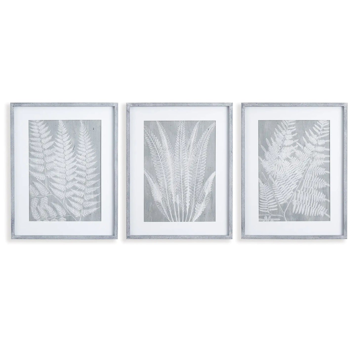 FERN FROND PRINTS, SET OF 3