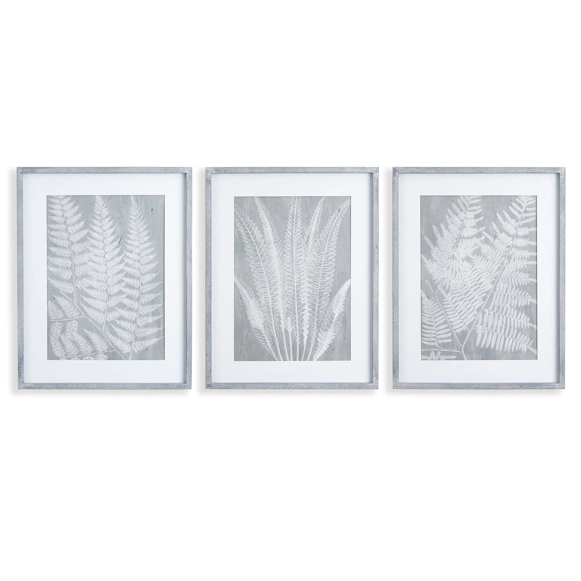 FERN FROND PRINTS, SET OF 3