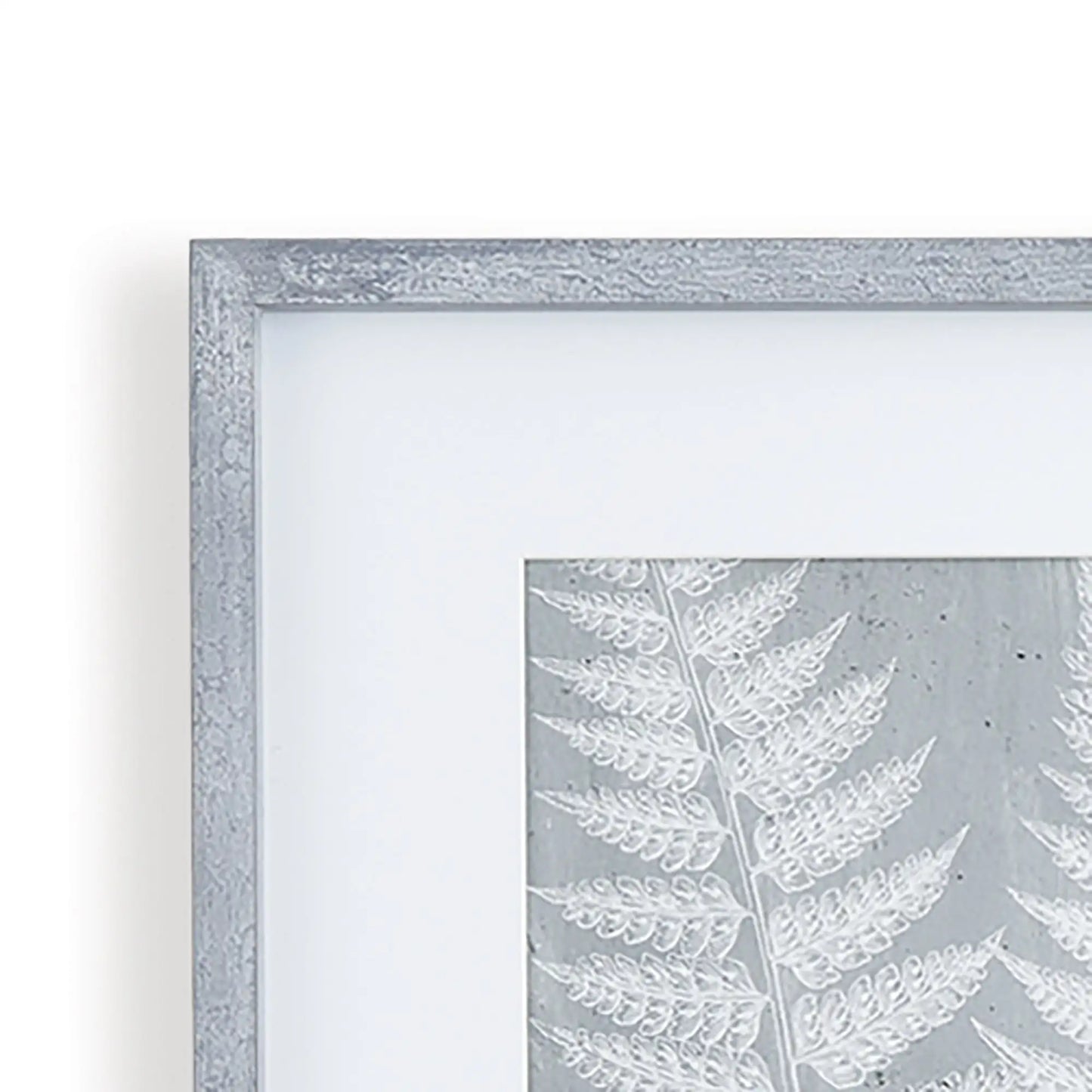 FERN FROND PRINTS, SET OF 3 - view 4