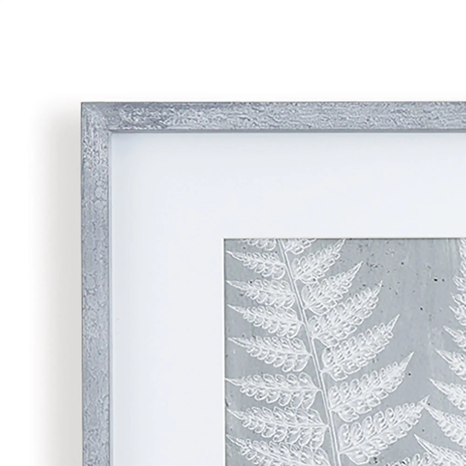FERN FROND PRINTS, SET OF 3 - view 4