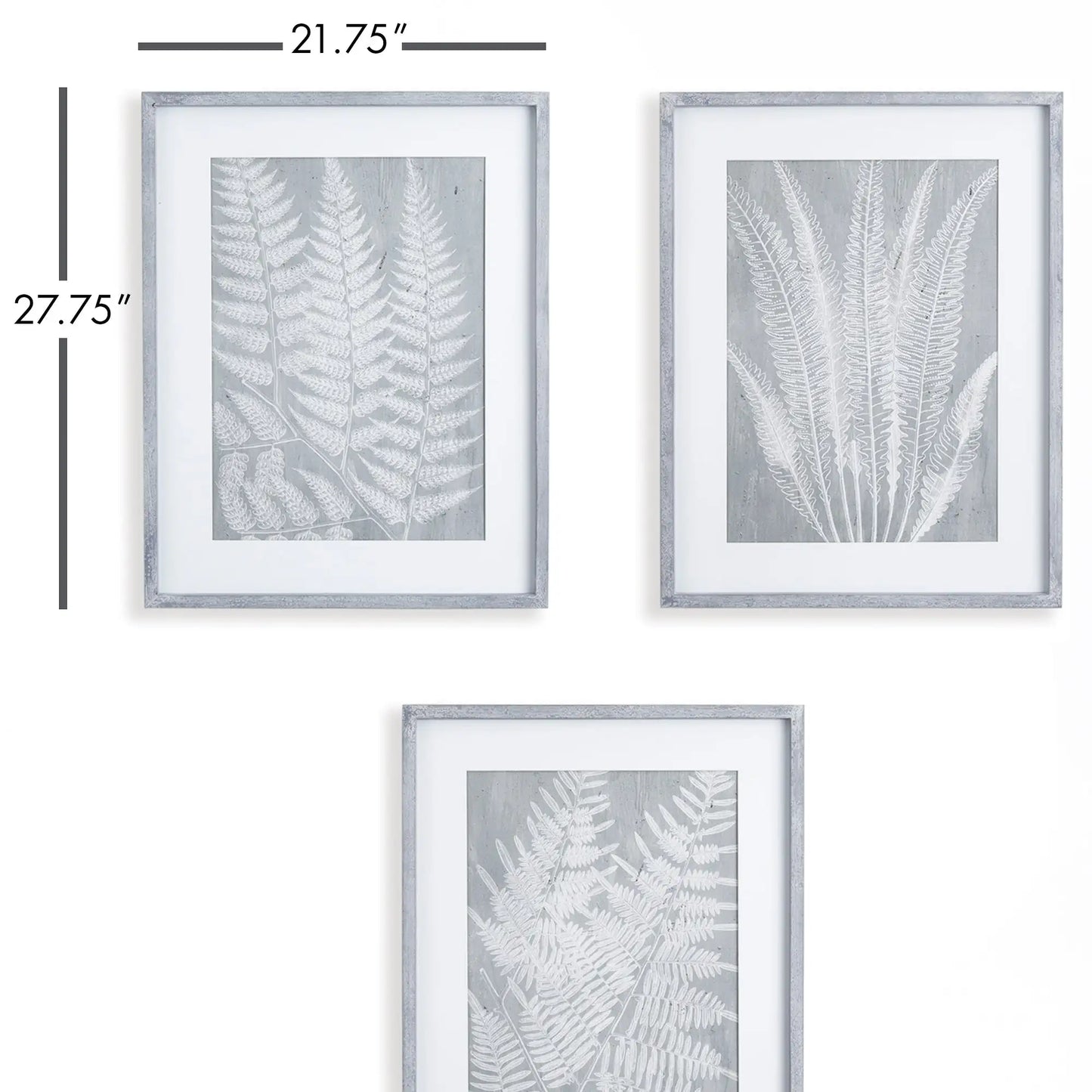 FERN FROND PRINTS, SET OF 3 - view 2