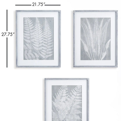 FERN FROND PRINTS, SET OF 3 - view 2