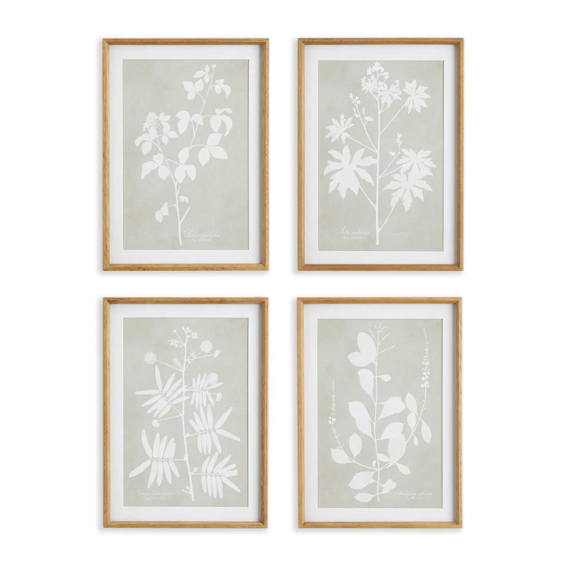 FOLIAGE STUDY, SET OF 4