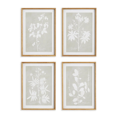 FOLIAGE STUDY, SET OF 4