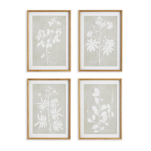 FOLIAGE STUDY, SET OF 4