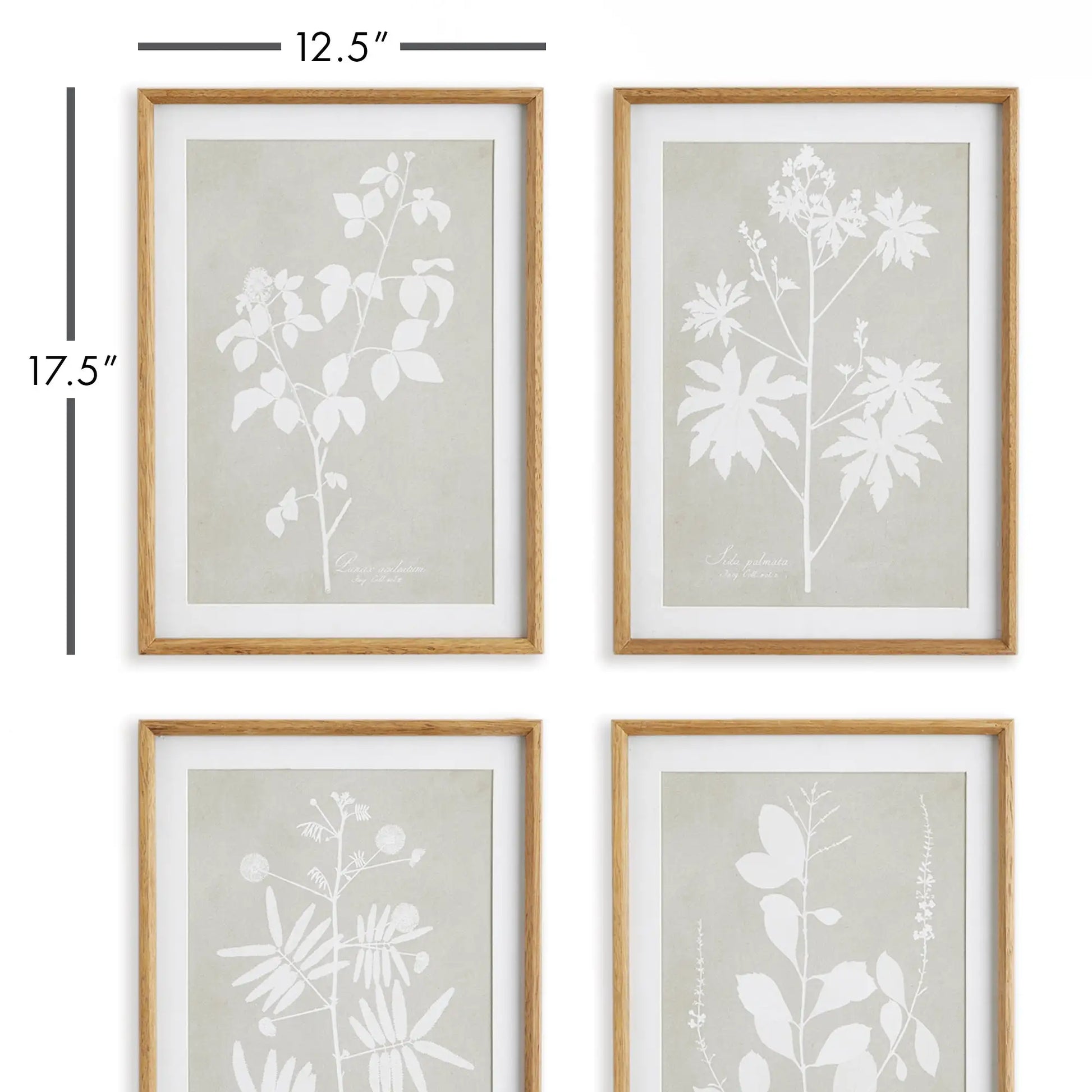 FOLIAGE STUDY, SET OF 4 - view 2
