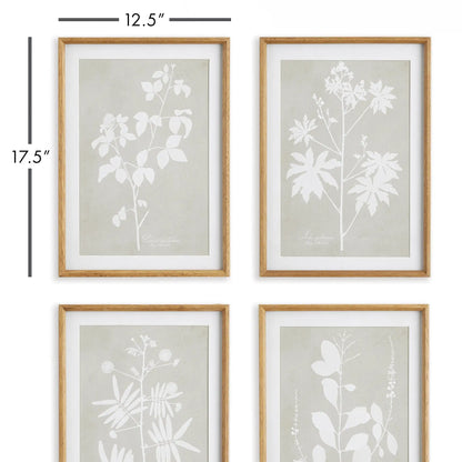 FOLIAGE STUDY, SET OF 4 - view 2