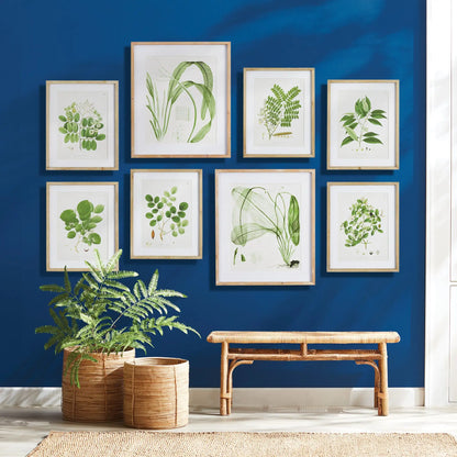 TREE LEAF STUDY, SET OF 6 - view 3