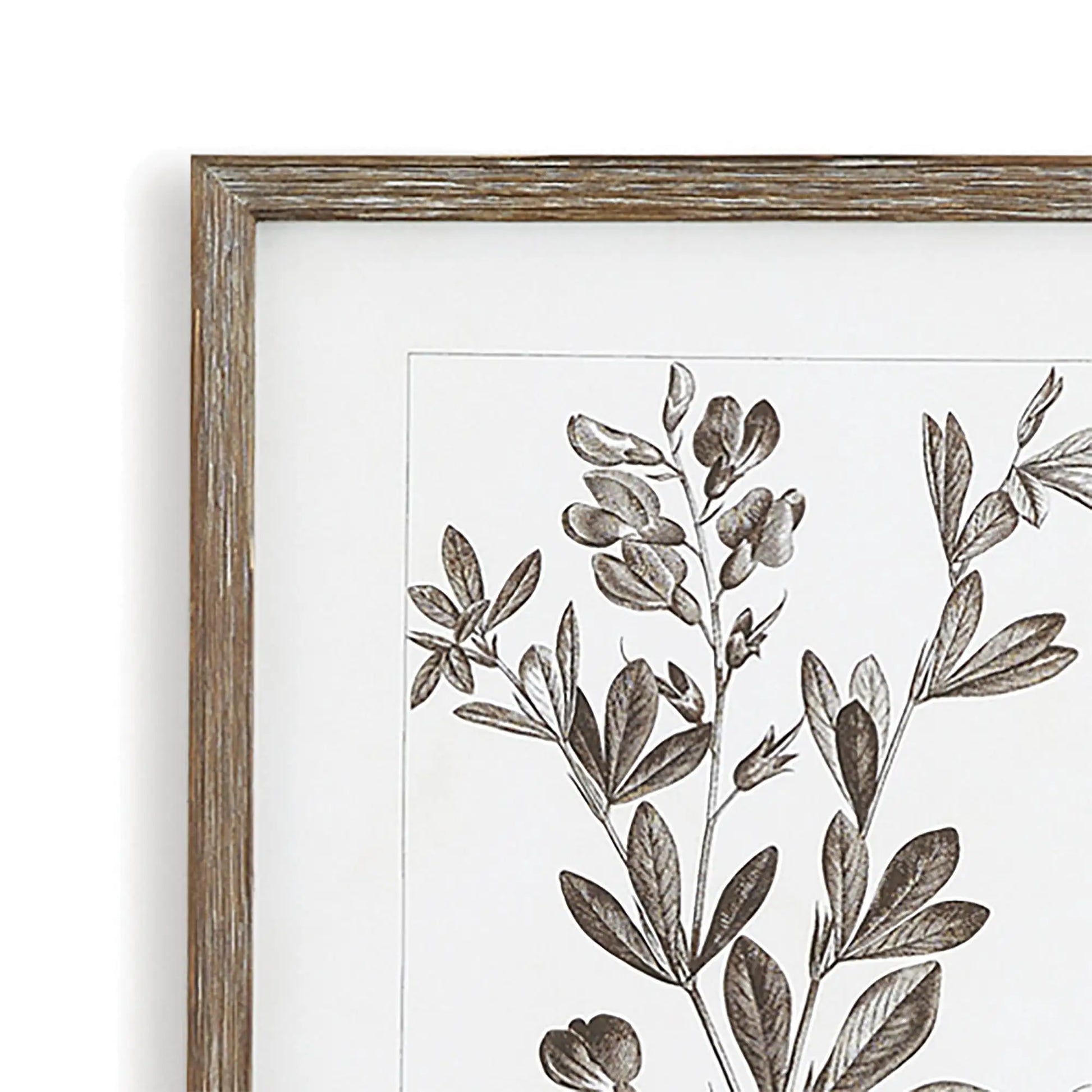 RUSTIC FOLIAGE STUDY, SET OF 9 - view 4