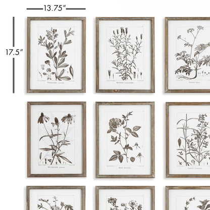 RUSTIC FOLIAGE STUDY, SET OF 9 - view 2