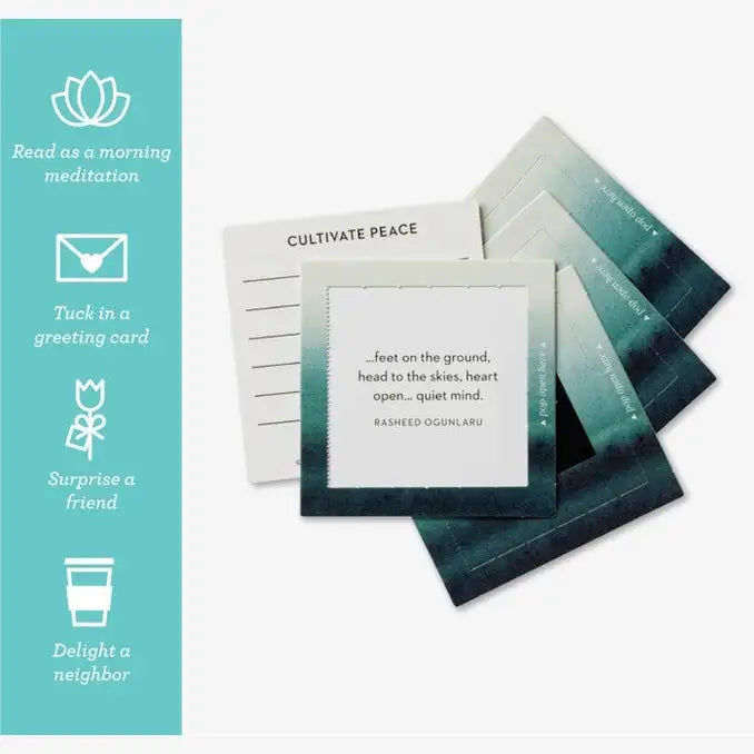 Thoughtfulls - EMBRACE CALM Pop-open Affirmation Cards - 30 count