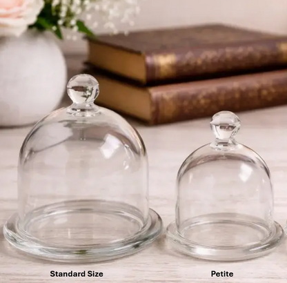 Glass Cloche with Base - Single