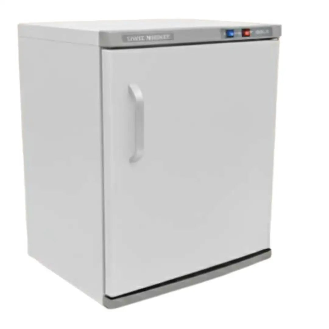 Professional Warm Towel Cabinet BS-208 30L